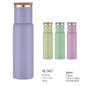 800ml SS Double Wall Vacuum Bottle (HJ-567)