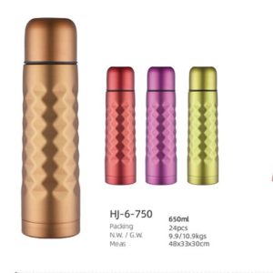 650ml SS Double Wall Vacuum Bottle(HJ-6-750)