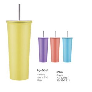 650ML SS Double Wall Vacuum Tumbler (HJ-653)