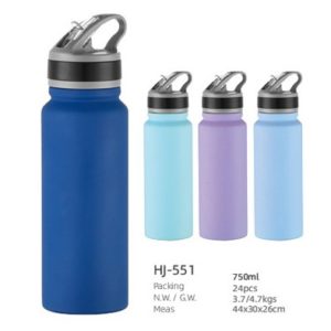 750ml SS Double Wall Vacuum Bottle(HJ-551)