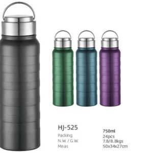 750ml SS Double Wall Vacuum Bottle(HJ-525)