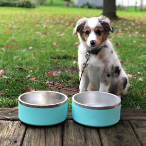 30oz Double Wall Insulated Dog Bowl