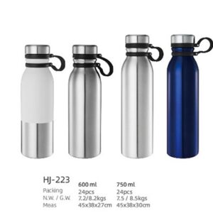 600ml/750ml SS Double Wall Vacuum Water Bottle(HJ-223)