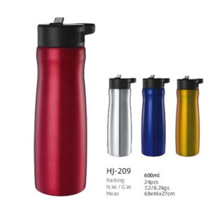 600ml SS Double Wall Vacuum Water Bottle(HJ-209)