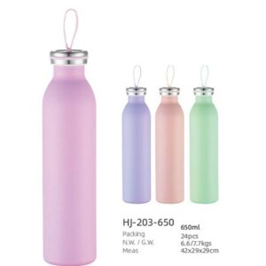 650ml SS Double Wall Vacuum Water Bottle(HJ-203-650)
