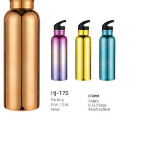 600ml SS Double Wall Vacuum Water Bottle(HJ-170)