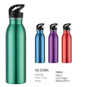 700ml SS Single Wall Water Bottle(HJ-038A)